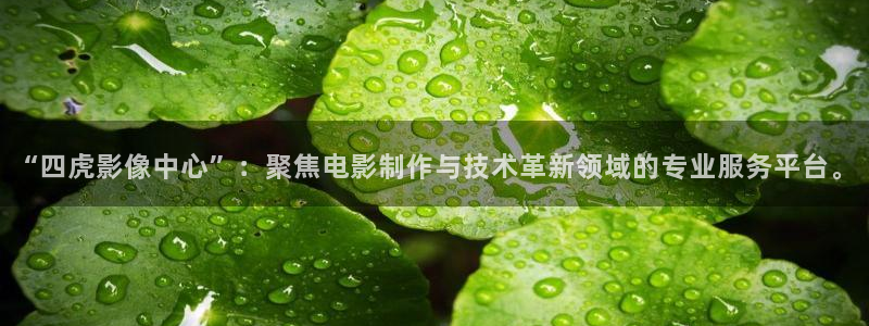 排球少年动漫在线观看樱花动漫：“四虎影像中心”：聚焦电影制作与技术革新领域的专业服务平台。