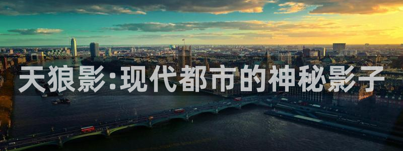 樱花动漫网在线：天狼影:现代都市的神秘影子