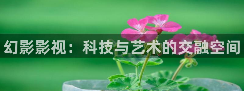 樱花在线高清：幻影影视：科技与艺术的交融空间