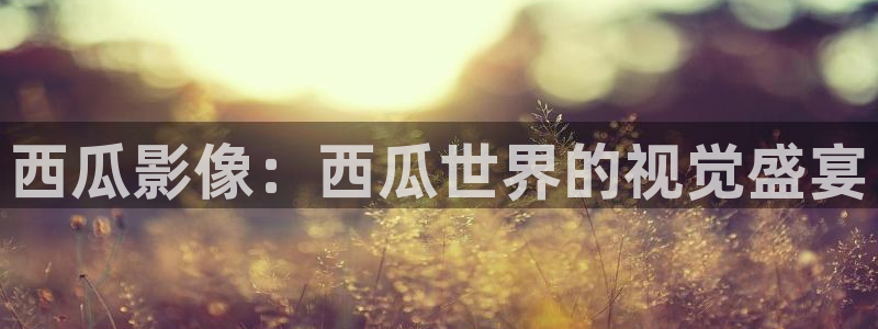 博人传在线看免费观看集樱花：西瓜影像：西瓜世界的视觉盛宴