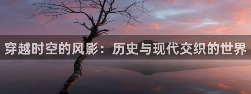 假面骑士加布免费观看樱花动漫：穿越时空的风影：历史与现代交织的世界